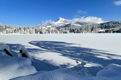Schwarzsee und Horn im Winter Verschneite Seefläche mit Blick auf einen Nadelwald und einen markanten Berggipfel unter blauem Himmel.