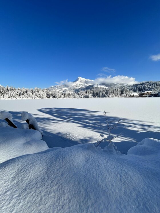 Schwarzsee und Horn im Winter Verschneite Seefläche mit Blick auf einen Nadelwald und einen markanten Berggipfel unter blauem Himmel.