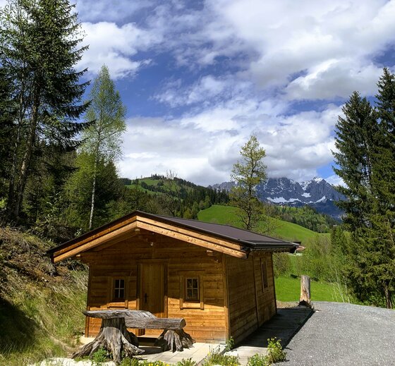 image00009 Eine gemütliche Holzhütte umgeben von grünen Wiesen und hohen Bäumen. Im Hintergrund sind majestätische Berge und ein blauer Himmel mit Wolken sichtbar.