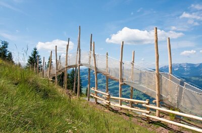 Holzsteg mit Sicherheitsnetz an einem Grashang vor Gebirgspanorama.