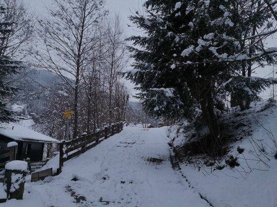 Winterwanderweg bei Hechenmoos Verschneiter Wanderweg mit Holzzaun und Nadelbäumen im Winter.