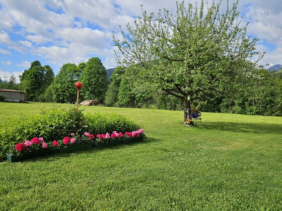 Ein schöner Garten mit einem blühenden Apfelbaum und bunten Blumen. Die Wiese ist grün und die Wolken am Himmel sind leicht sichtbar.