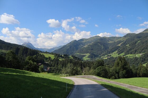 Asphaltierte Bergstraße führt durch grüne Wiesen und Wälder auf bewaldete Berge unter blauem Himmel zu.