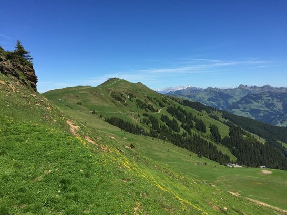 Saukaser-Pengelstein Wandergebiet Grüne Almwiesen an einem Berghang mit Wanderweg und Blick auf bewaldete Gipfel unter blauem Himmel.