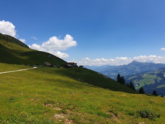 Kobingerhütte am Berghang Grüne Almwiese mit der Kobingerhütte vor einem Bergpanorama unter blauem Himmel.