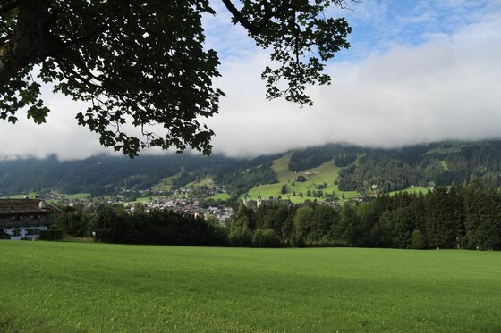 Blick über eine grüne Wiese auf ein Dorf im Tal vor bewaldeten Bergen unter einer Wolkendecke.