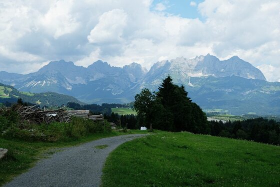 Wanderweg im Bichlach Ein geschotterter Wanderweg führt über eine grüne Wiese mit Blick auf ein markantes Gebirgsmassiv unter Wolken.