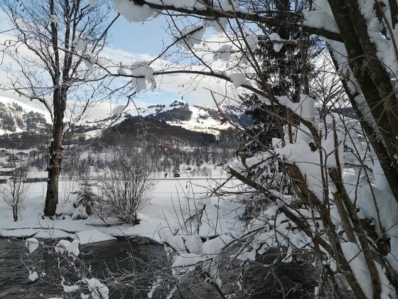 Verschneite Äste im Vordergrund mit Blick auf einen Fluss und schneebedeckte Berge im Hintergrund.