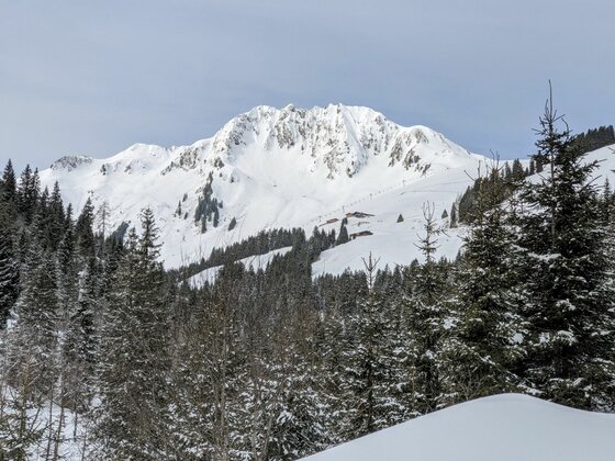 Winterlandschaft bei der Trattenbachalm Verschneiter Berggipfel hinter einem Nadelwald unter grauem Himmel.