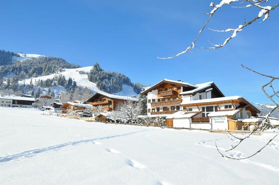 Verschneite Alpenhäuser vor bewaldetem Berghang unter blauem Himmel.