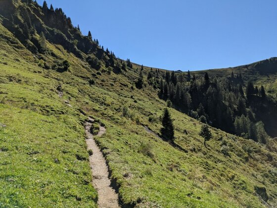 Wanderweg am Kitzbüheler Horn Ein schmaler Wanderpfad führt über einen steilen, grünen Grashang unter blauem Himmel.