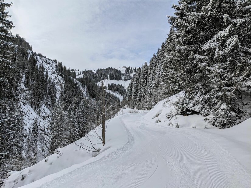 Rodelbahn Trattenbachalm Präparierte Rodelbahn im verschneiten Nadelwald mit Blick auf bewaldete Berghänge.