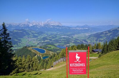 Rote Kitzbühel-Informationstafel auf einer Bergwiese mit Blick auf das Tal und die Alpenkette.