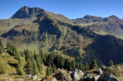 Blick auf den felsigen Gipfel des Geißsteins mit bewaldeten Hängen unter blauem Himmel.