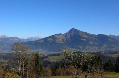 Blick über eine Hügellandschaft mit Bäumen auf ein markantes Bergmassiv unter blauem Himmel.