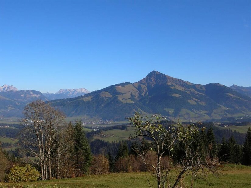 Umgebung Appartement Reichwand Blick über eine Hügellandschaft mit Bäumen auf ein markantes Bergmassiv unter blauem Himmel.