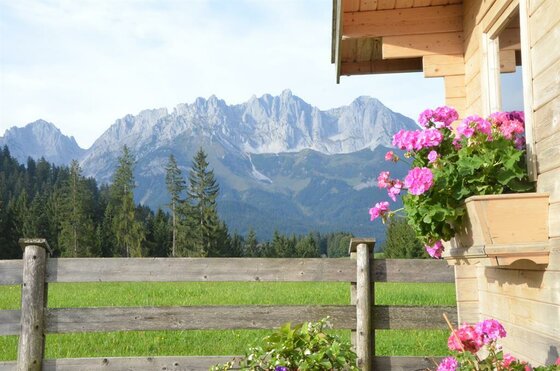 Aussicht vom Haus Jöchl Blick von einer Holzhütte mit Blumenkasten auf eine grüne Wiese und ein markantes Felsmassiv.