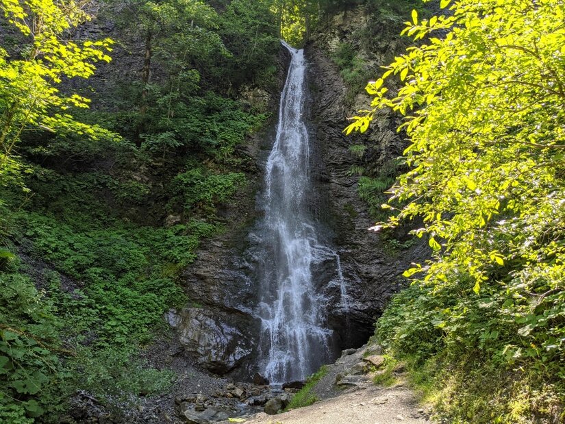 Schleierwasserfall im Wald Ein schmaler Wasserfall stürzt über eine dunkle Felswand inmitten von grünem Laubwald.