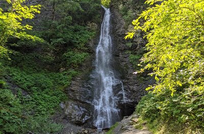Ein schmaler Wasserfall stürzt über eine dunkle Felswand inmitten von grünem Laubwald.