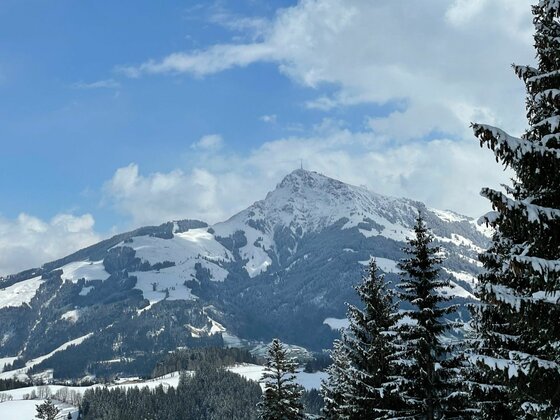 Verschneiter Berggipfel hinter Nadelbäumen unter blauem Himmel mit Wolken.
