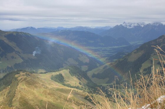 Regenbogen über der Hochwildalm Blick von einem Berggipfel über ein grünes Tal mit einem Regenbogen vor bewaldeten Hängen und fernen Gipfeln.