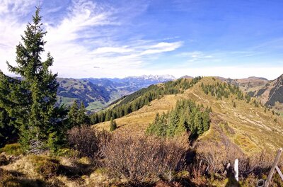 Blick von einem bewaldeten Bergrücken auf ein weites Tal und entfernte Alpengipfel unter blauem Himmel.