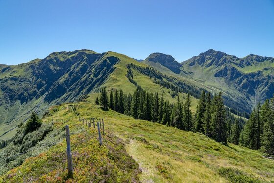 Schmaler Wanderpfad auf einem grasbewachsenen Bergrücken mit Nadelbäumen und Blick auf felsige Gipfel.
