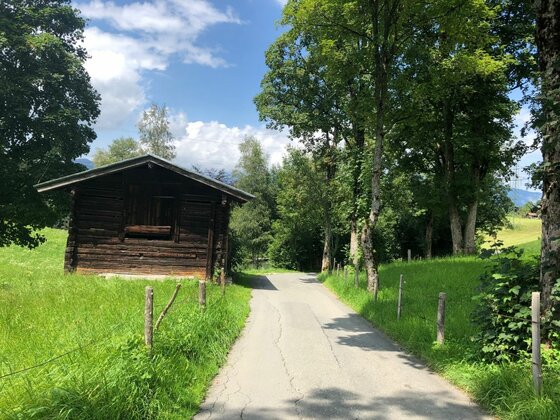 Asphaltierter Weg führt an einer dunklen Holzhütte und grünen Bäumen vorbei.