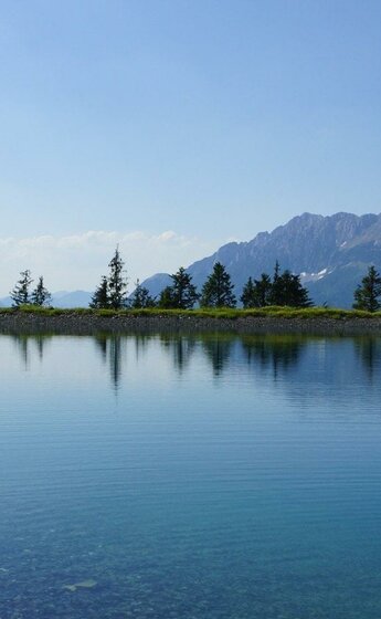 Blick See