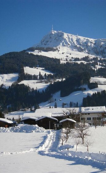 Winter_2