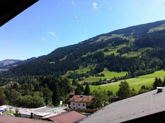 Blick von einem Balkon auf ein bewaldetes Bergmassiv mit Wiesen und Häusern im Tal bei blauem Himmel.