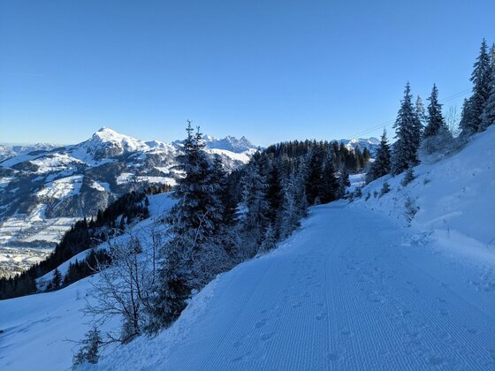 Winterwanderweg mit Alpenpanorama Präparierter Winterwanderweg am Berghang mit Nadelbäumen und Blick auf verschneite Alpengipfel unter blauem Himmel.