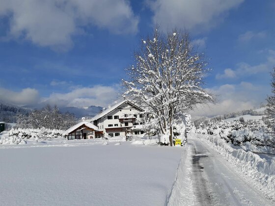 Pension Thainerhof im Winter Verschneites Gasthaus Thainerhof mit schneebedecktem Baum und geräumtem Zufahrtsweg unter blauem Himmel.
