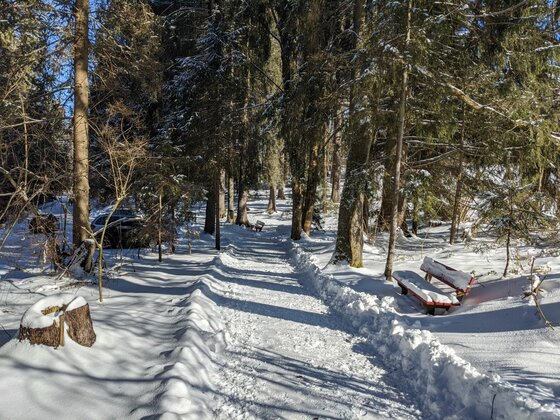 Ein geräumter Winterwanderweg führt durch einen verschneiten Nadelwald mit einer Holzbank am Wegrand.