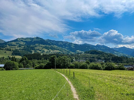 Wanderweg Stadtrunde Schmaler Pfad führt über eine grüne Wiese auf bewaldete Berge unter blauem Himmel zu.