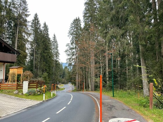 Asphaltierte Straße mit angrenzendem Radweg führt durch ein Waldgebiet vorbei an einem Wohnhaus.