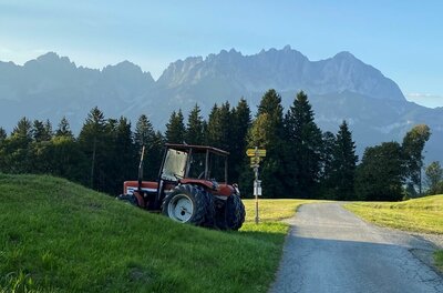 Ein roter Traktor auf einer Wiese neben einem asphaltierten Weg vor einer Bergkulisse.