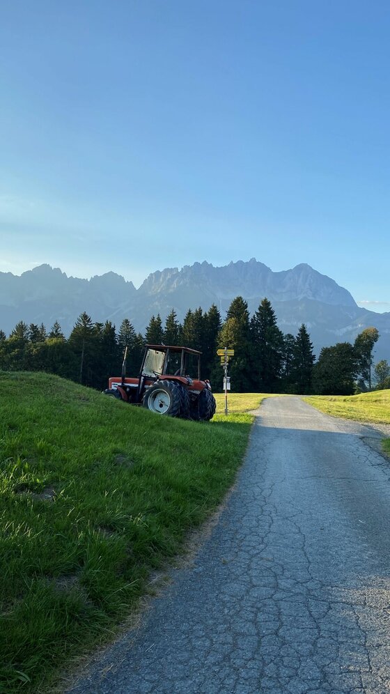 Weg bei Rettenberg Ein roter Traktor auf einer Wiese neben einem asphaltierten Weg vor einer Bergkulisse.