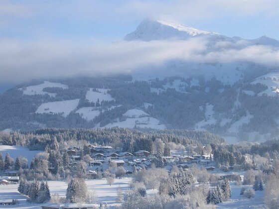 Winterliche Aussicht bei Hennleiten Verschneites Bergdorf vor bewaldetem Hang und wolkenverhangenem Gipfel.