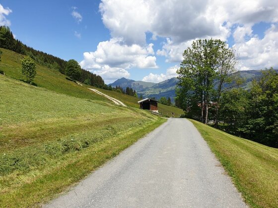 Asphaltierter Wanderweg führt durch grüne Almwiesen an einer Holzhütte vorbei in Richtung Berge.