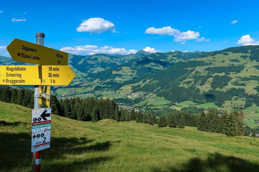 Wegweiser am Jagawurz Lauf Gelbe Wegweiser auf einer Bergwiese mit Blick auf ein bewaldetes Tal und ferne Berggipfel unter blauem Himmel.