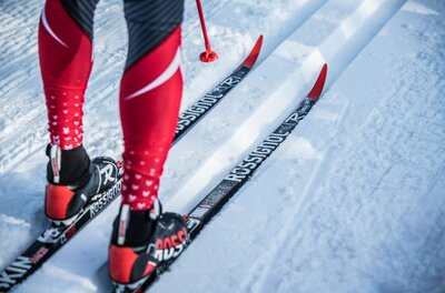 Nahaufnahme von Langlaufskiern in einer gespurten Loipe im Schnee.