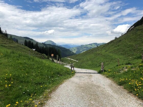 Schotterweg führt durch grüne Almwiesen in einem Bergtal unter bewölktem Himmel.