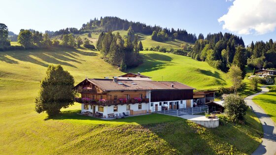 Hof-Umgebung Wandhof Alpenländischer Bauernhof mit Holzbalkon auf einer grünen Wiese vor bewaldeten Hügeln.