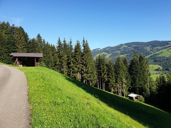 Bergweg am Obergaisberg Asphaltierter Bergweg neben einer grünen Wiese mit Nadelbäumen und einer Holzhütte vor bewaldeten Bergen.