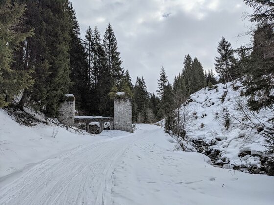 Verschneite Rodelbahn im Wald mit einer alten Steinruine im Hintergrund.