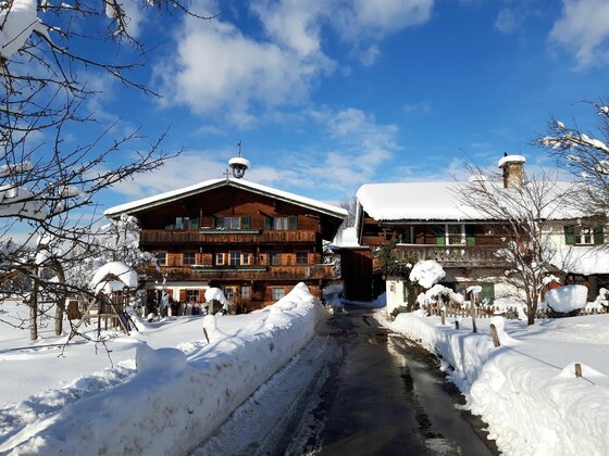 Traditionelle Holzhäuser mit schneebedeckten Dächern an einer geräumten Straße unter blauem Himmel.
