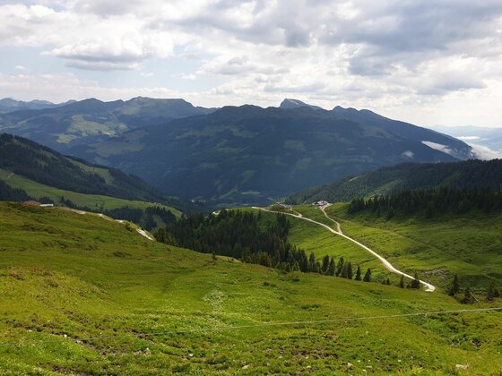 Blick über grüne Almwiesen auf einen Schotterweg und bewaldete Berge unter bewölktem Himmel.
