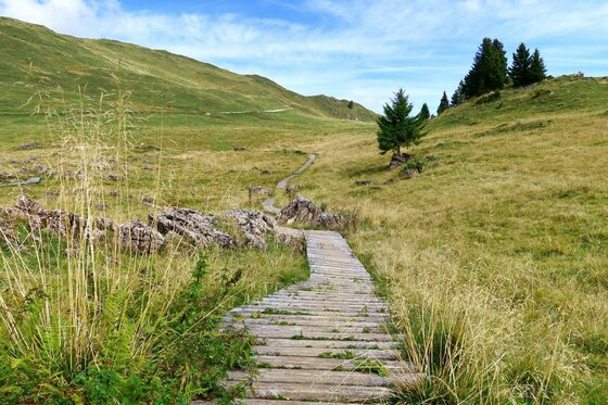 Ein schmaler Holzsteg führt durch eine hügelige, grüne Almwiese unter blauem Himmel.