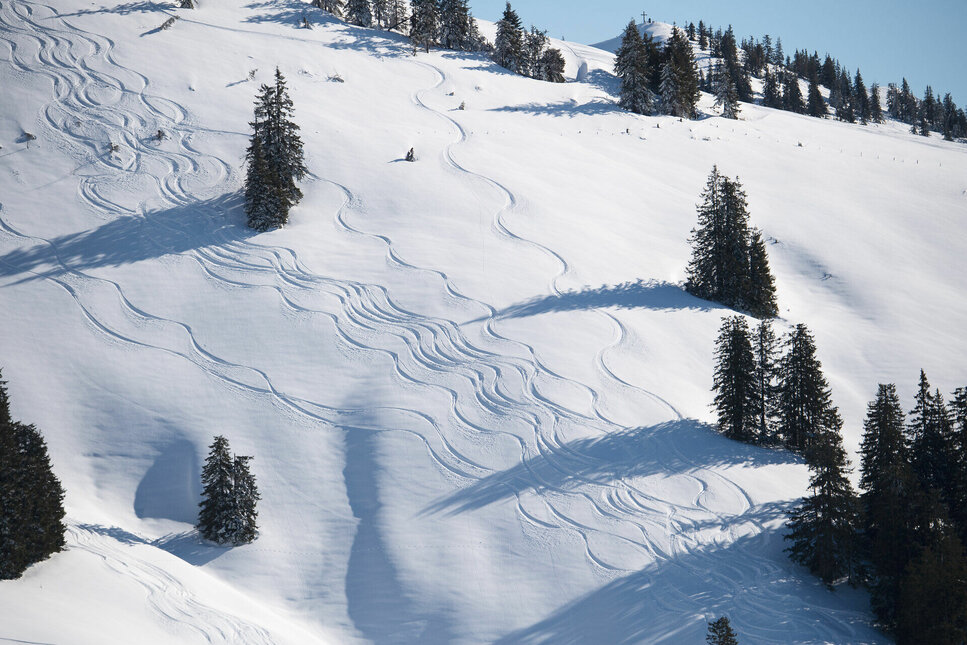 Skifahren in Kitzbühel